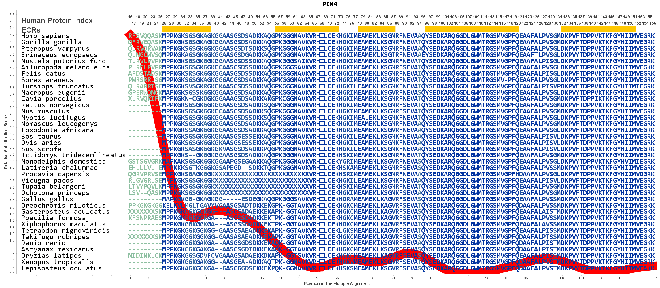PIN4 Gene - GeneCards | PIN4 Protein | PIN4 Antibody