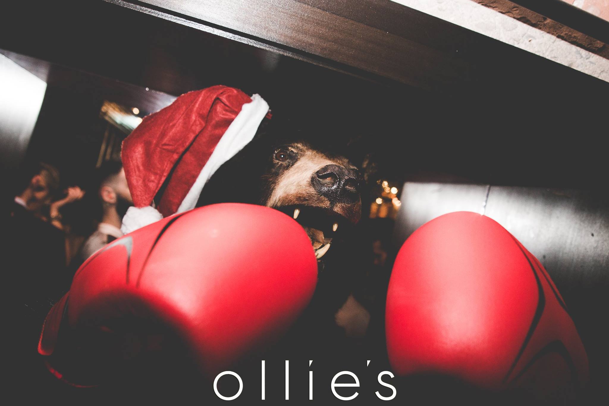 Ollies Christmas Trees Christmas at Ollies Wednesday 28th Dec Tickets