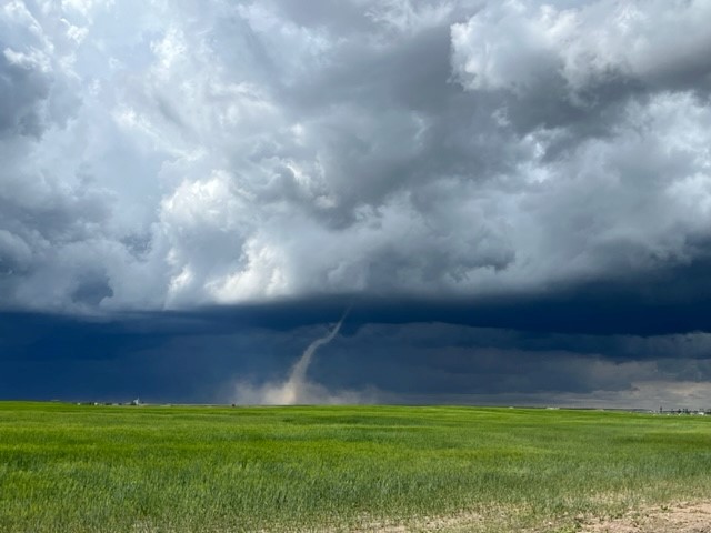 Click to play video: 'Multiple tornadoes confirmed in southern Alberta on Wednesday'
