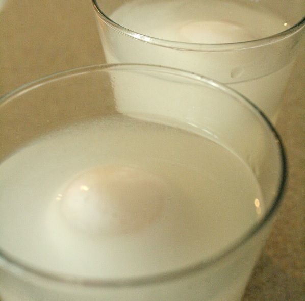 20+ Fun Science Experiments with Eggs - Go Science Girls