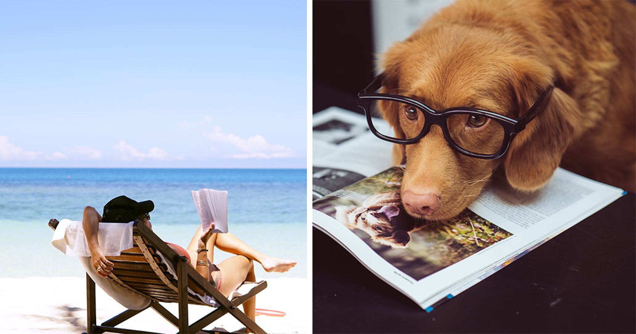 Here's the most quirky and cool employee perks on offer in 2019 GradTouch