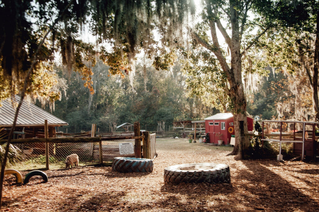 Best Florida Harvest Hosts Locations