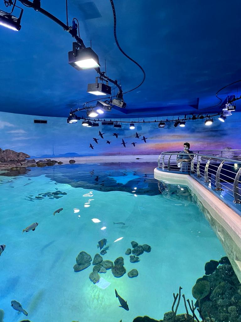 SUM A trip to Sharjah Aquarium