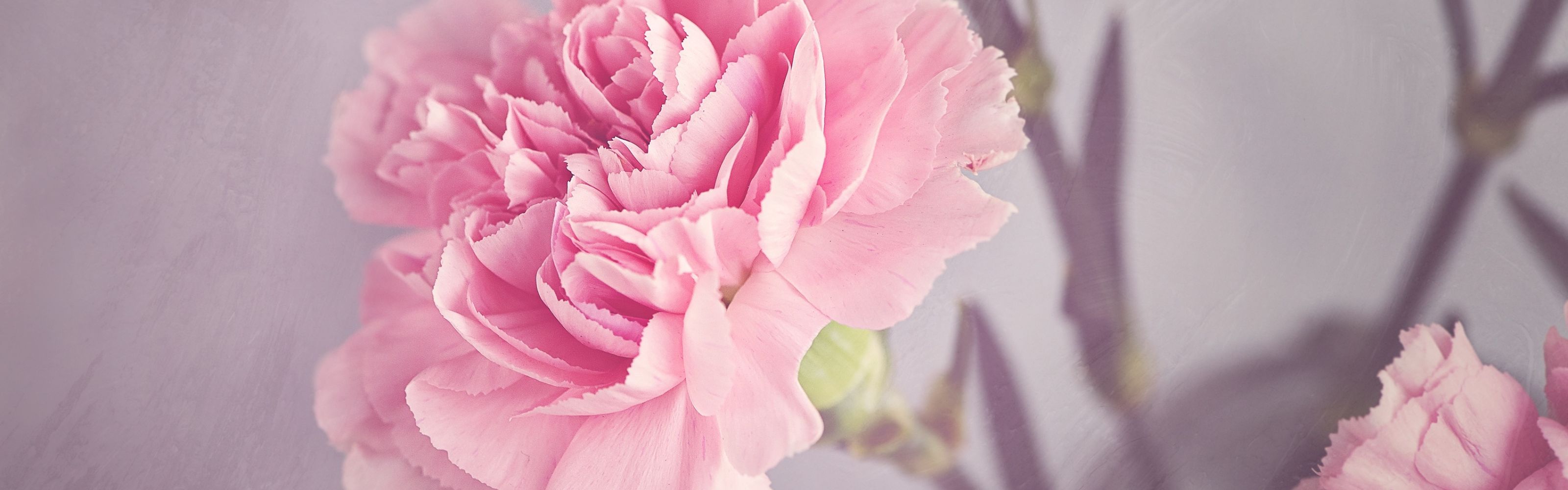 Death & Flowers in Different Cultures