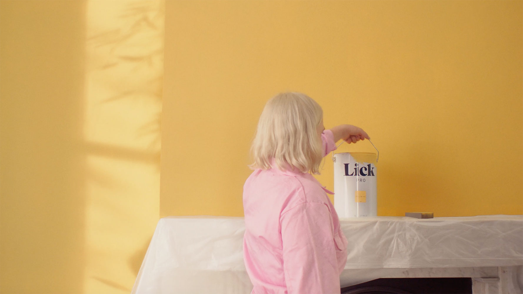 Designer & Low VOC Trade Paint Interior & Exterior Paint Lick