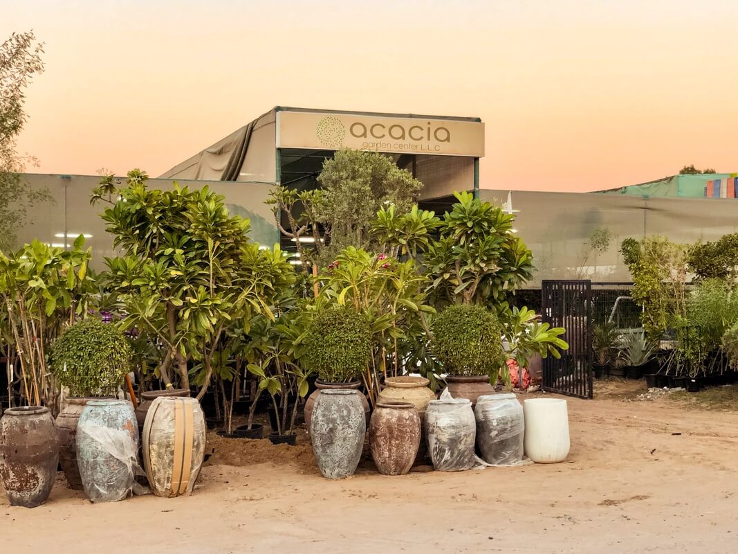 SUM Where to find pallets in Dubai and our DIY garden bed