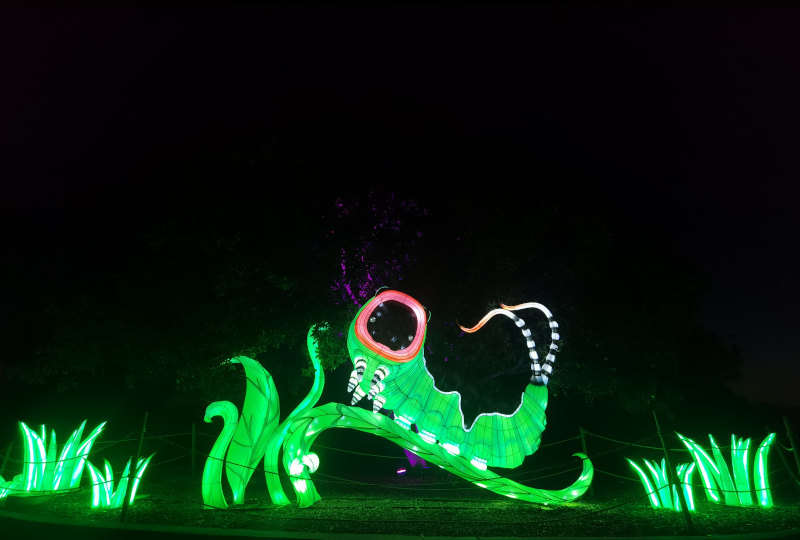 WildLanterns at Woodland Park Zoo A Seattle Holiday Event CityPASS® Blog
