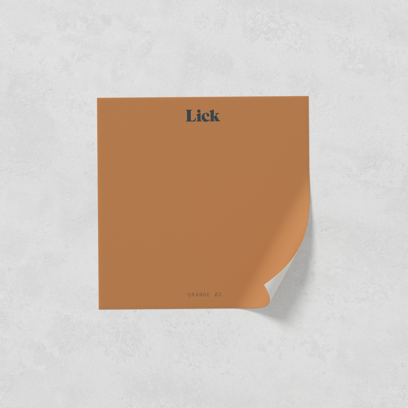 Orange 02 Mid Warm Orange Brown Paint Paint Sample Lick