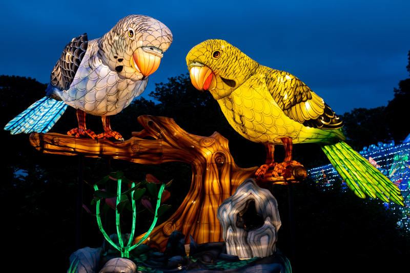 WildLanterns at Woodland Park Zoo A Seattle Holiday Event CityPASS® Blog