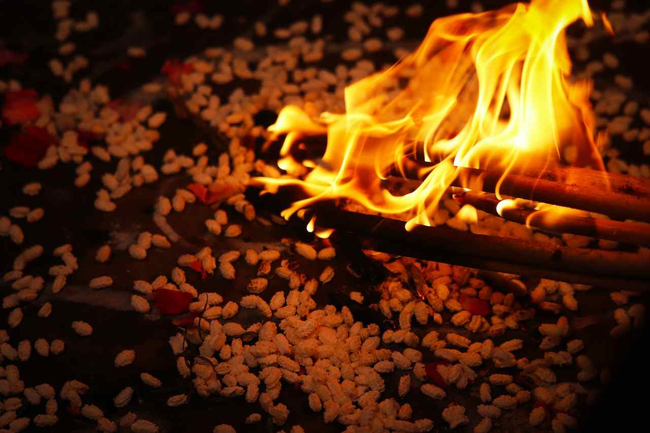 Discover the Purifying Benefits of Havan A Sacred Hindu Ritual