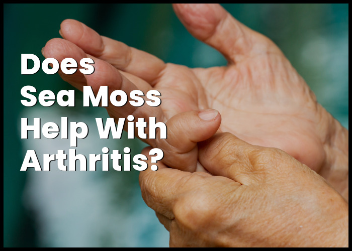 Sea Moss for Arthritis and Joint Pain Management
