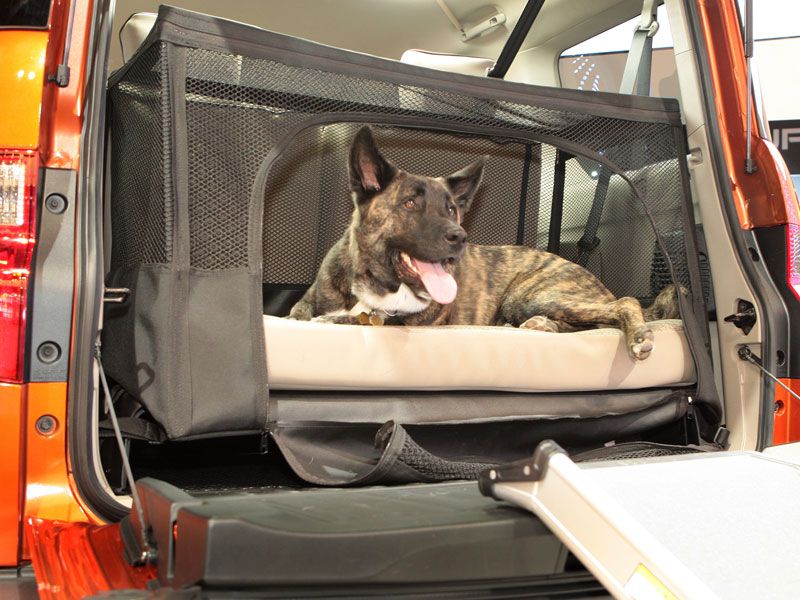 The 10 Best Cars for Dogs Autobytel