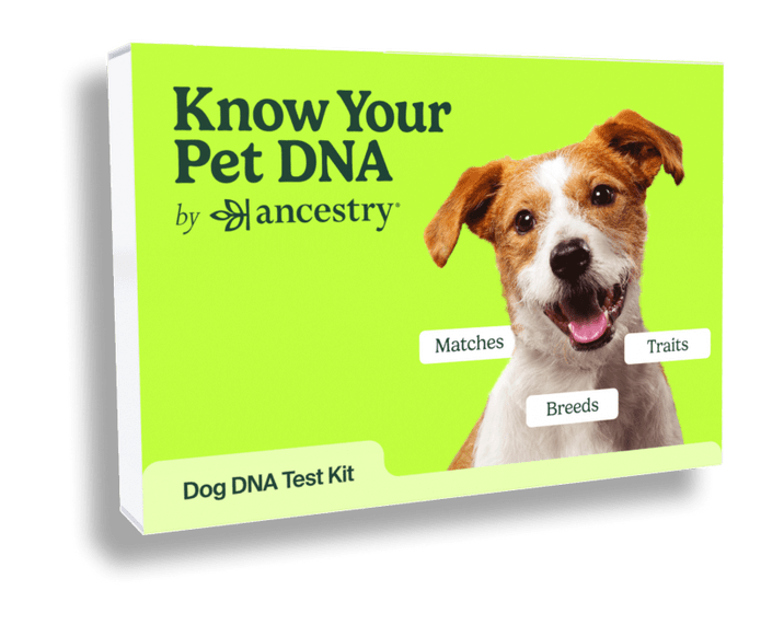 Dog DNA Test Kit Know Your Pet DNA by Ancestry®