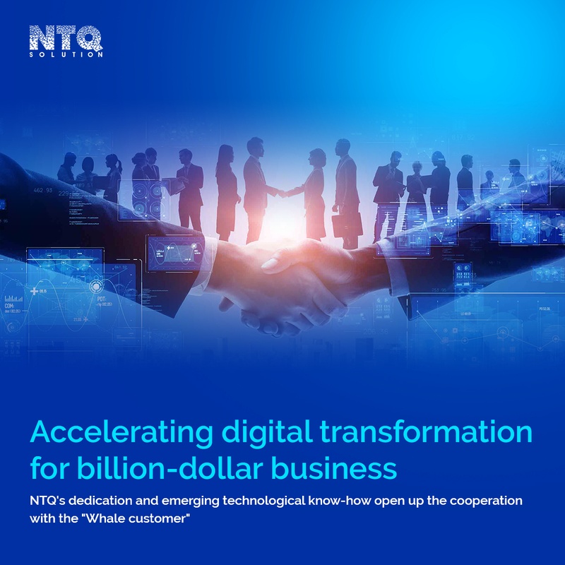 NTQ Solution Cooperated With The First Whale Client In 2022