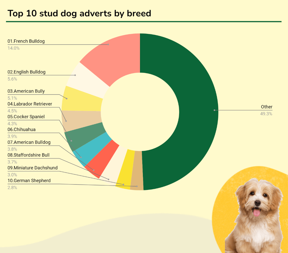 The UK Pet Industry Report 2023 Pets4Homes