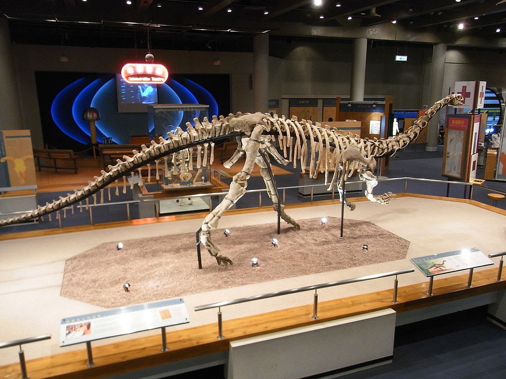 Journey through the Evolution of Dinosaurs at the Royal Tyrrell Museum