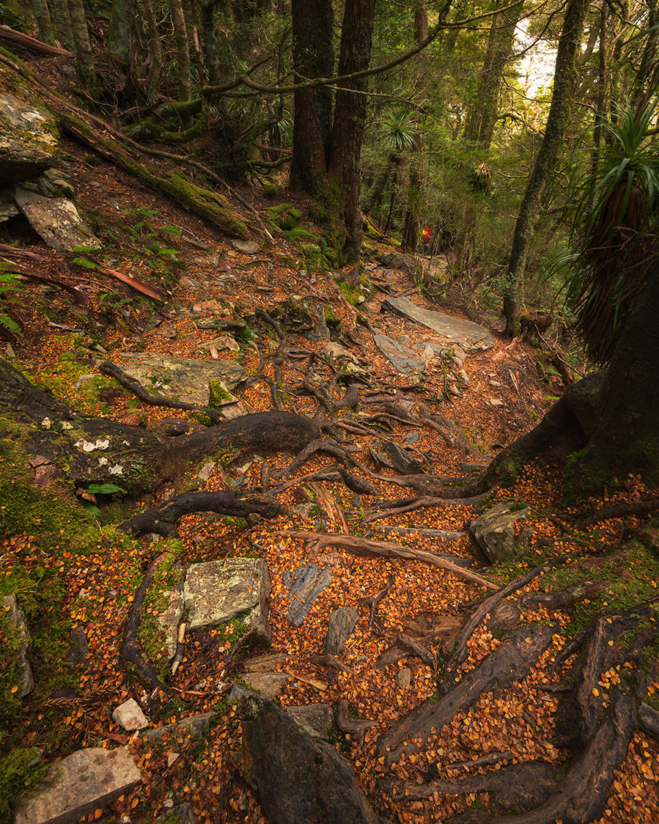 Hiking a la Carte - Cradle Mountain National Park