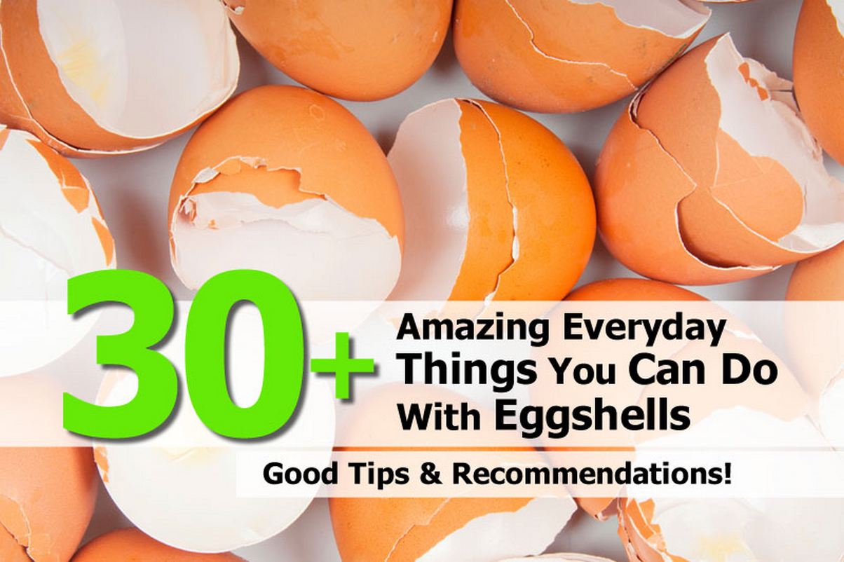 30+ Amazing Everyday Things You Can Do With Eggshells