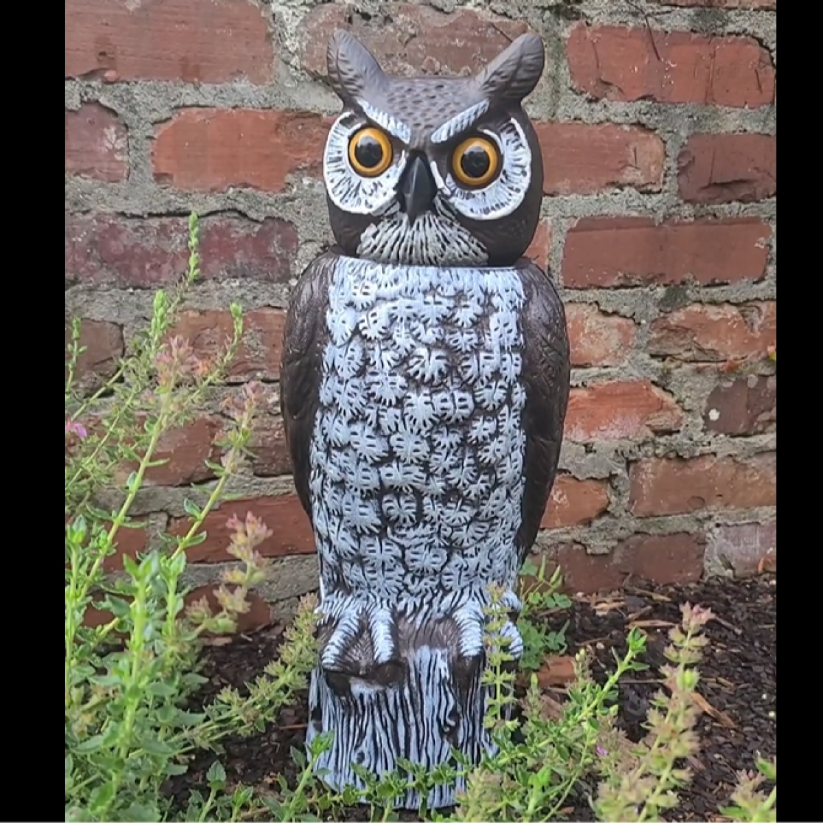 18" RotatingHead Owl HandPainted Hydrofarm Canada