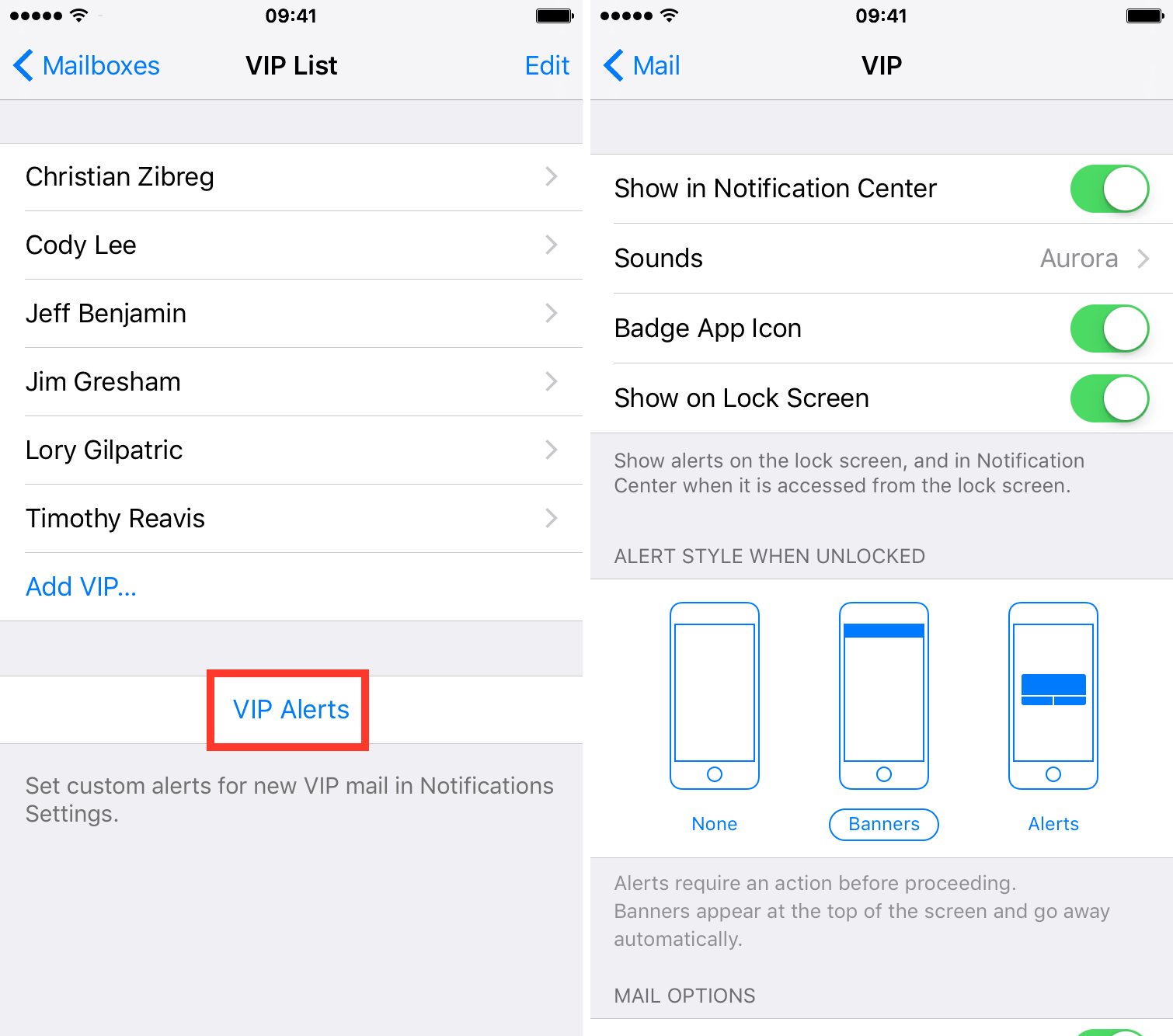 How to set up email VIP lists