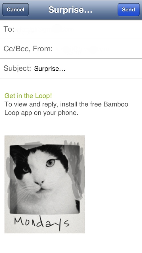 Bamboo Loop 3