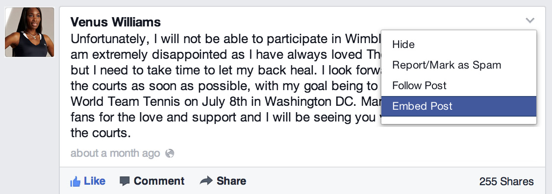 Facebook Embedded Posts (image 003)