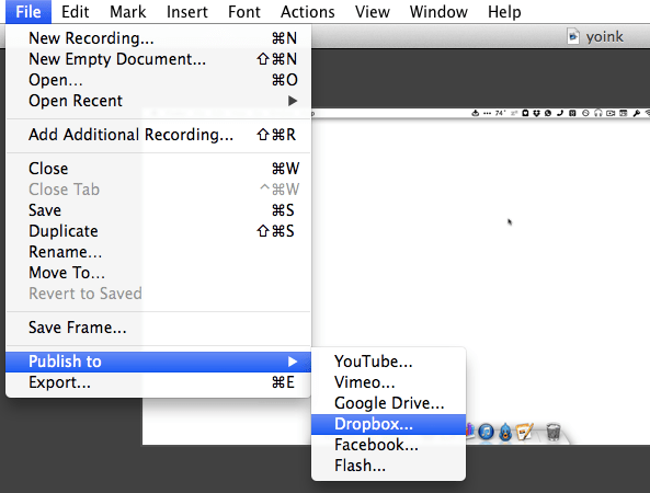 ScreenFlow 4.5 Export Options