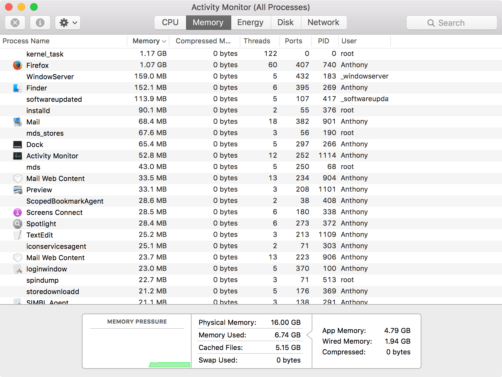 Activity Monitor RAM types