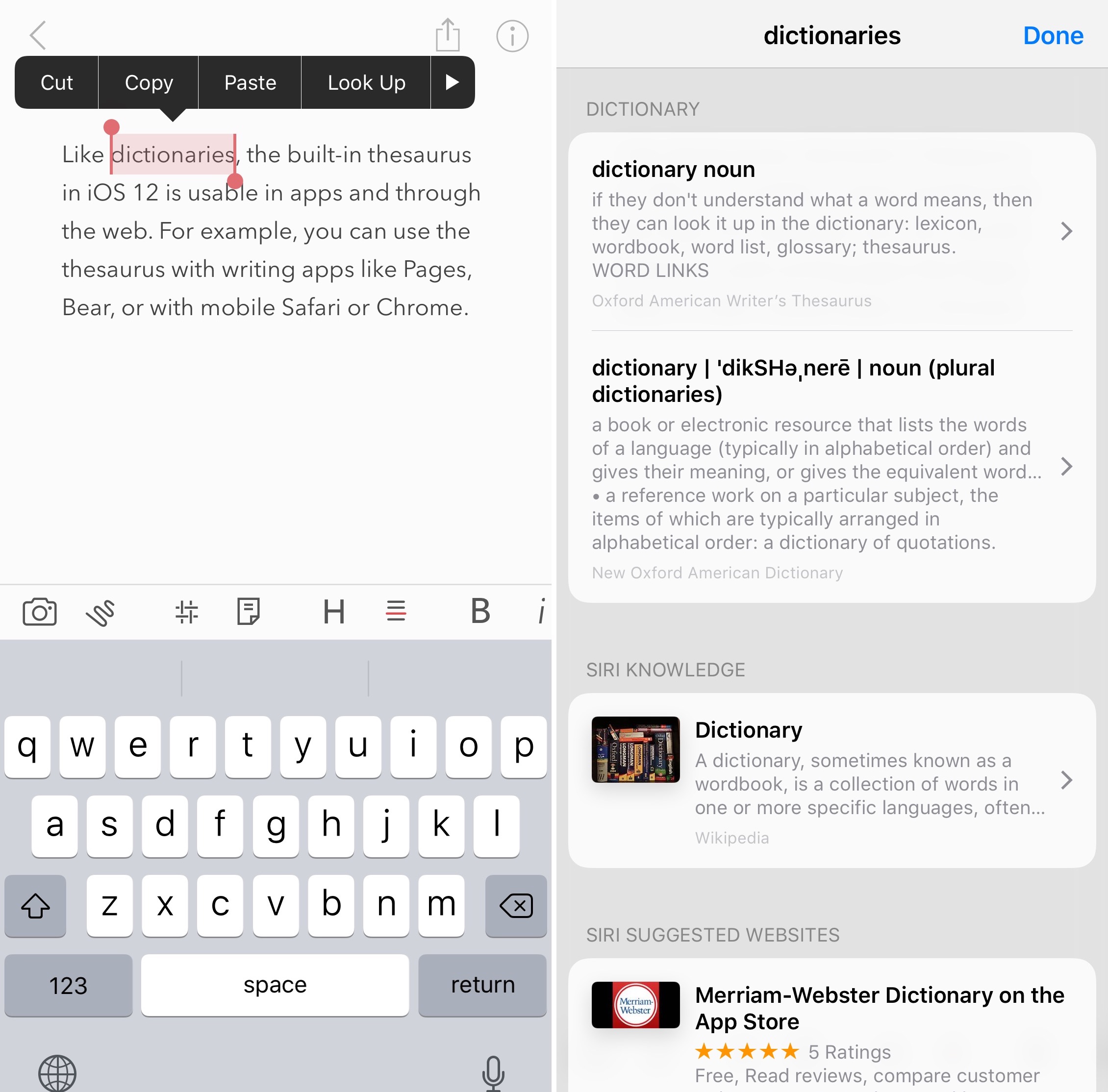 How to turn on and use the builtin iPhone thesaurus with ease
