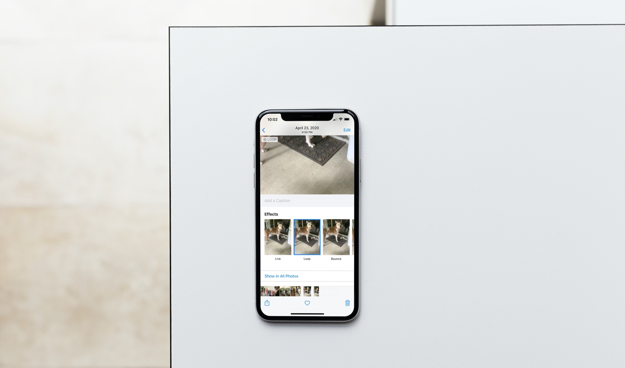 How to add loop and bounce effects to Live Photos