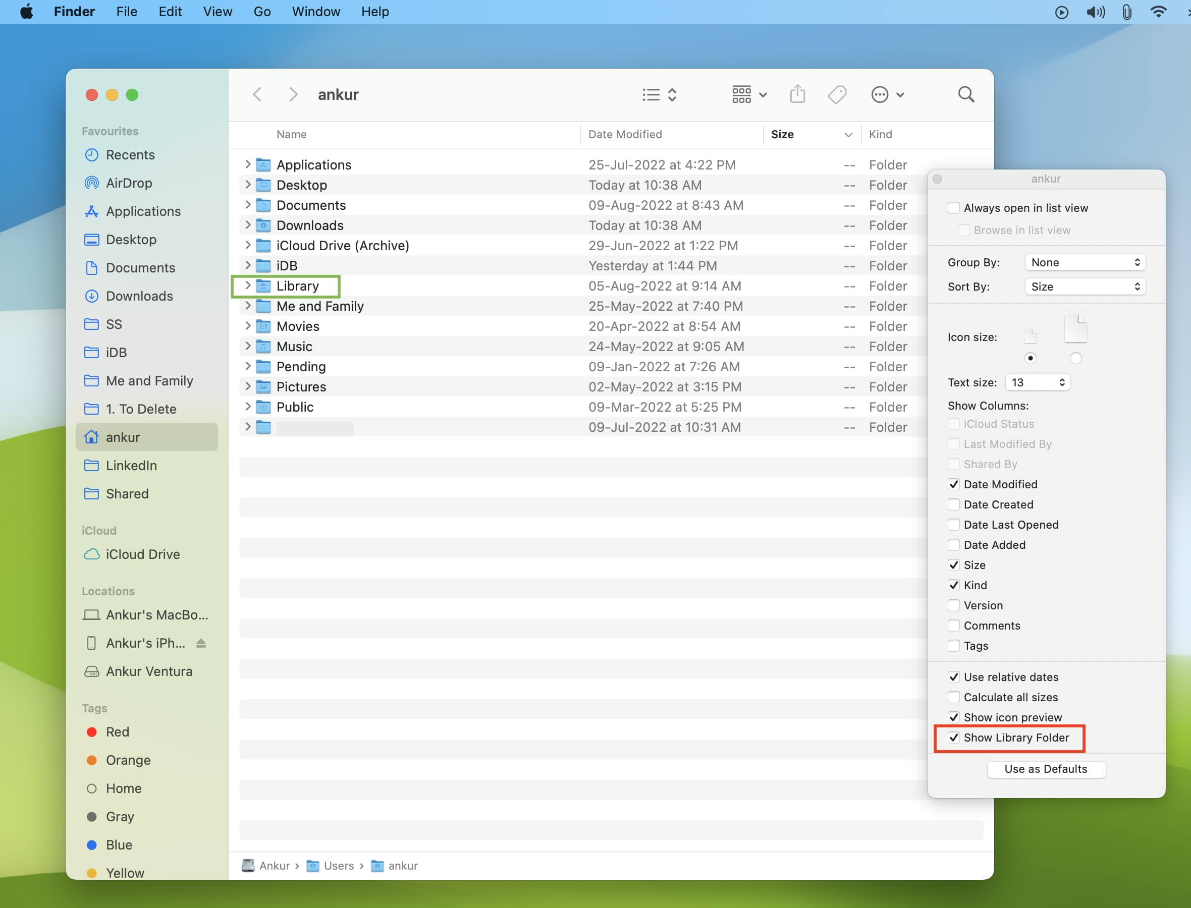 How to show the /Library folder on Mac