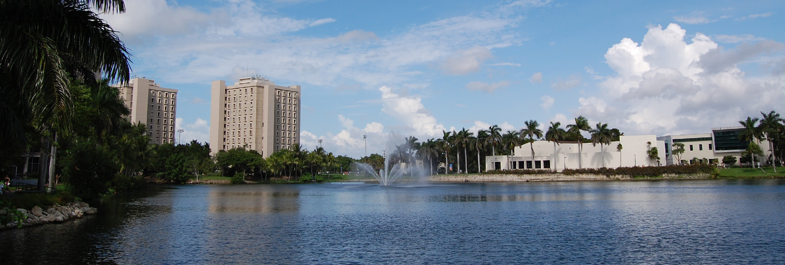 University Courses University Of Miami Summer Courses