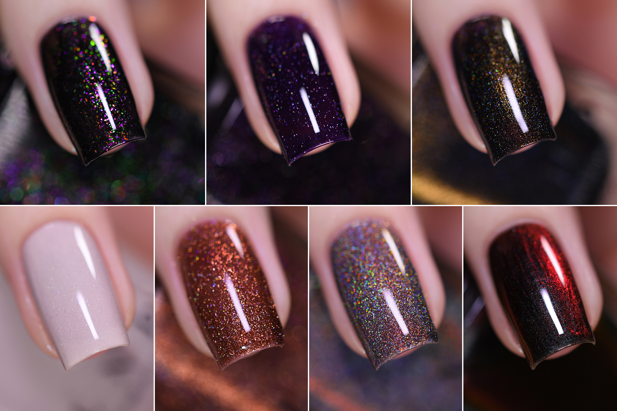 Wicked Collection by ILNP