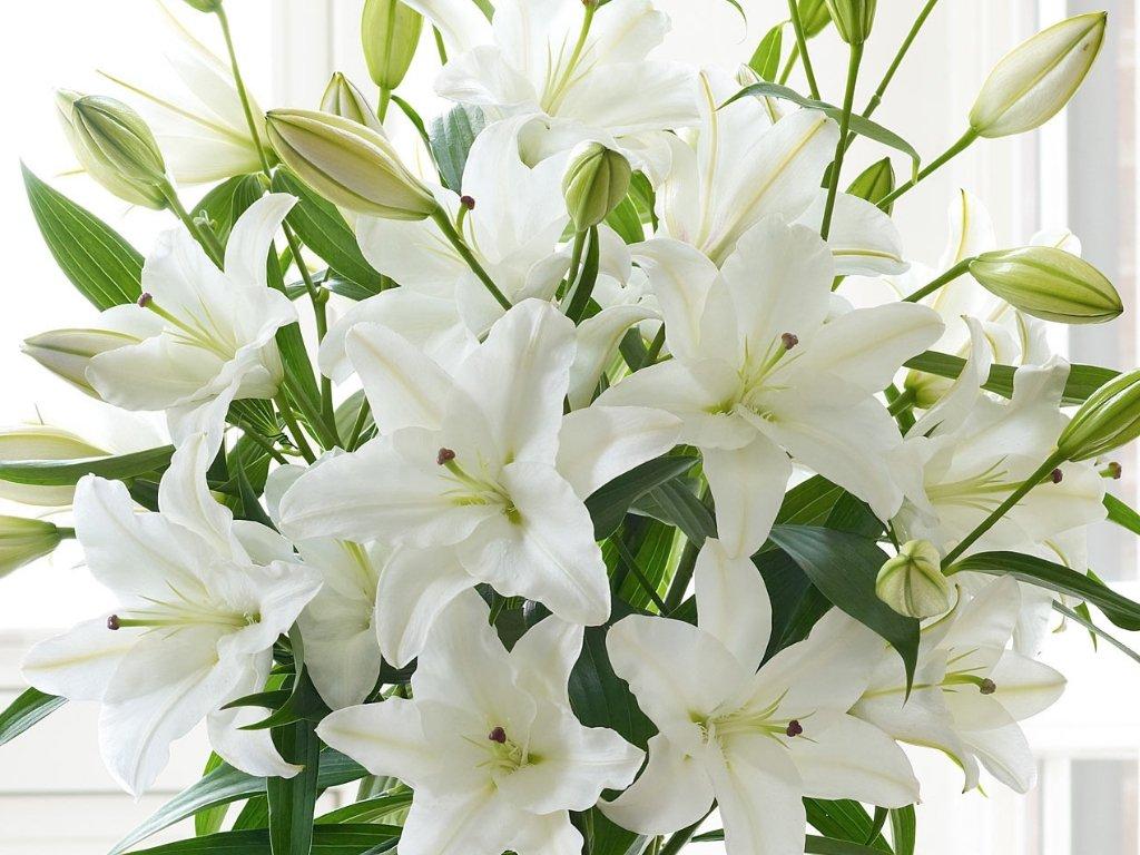 The Best Mother's Day Flowers Interflora