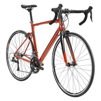 Vélos de route Vélos Cycle INTERSPORT