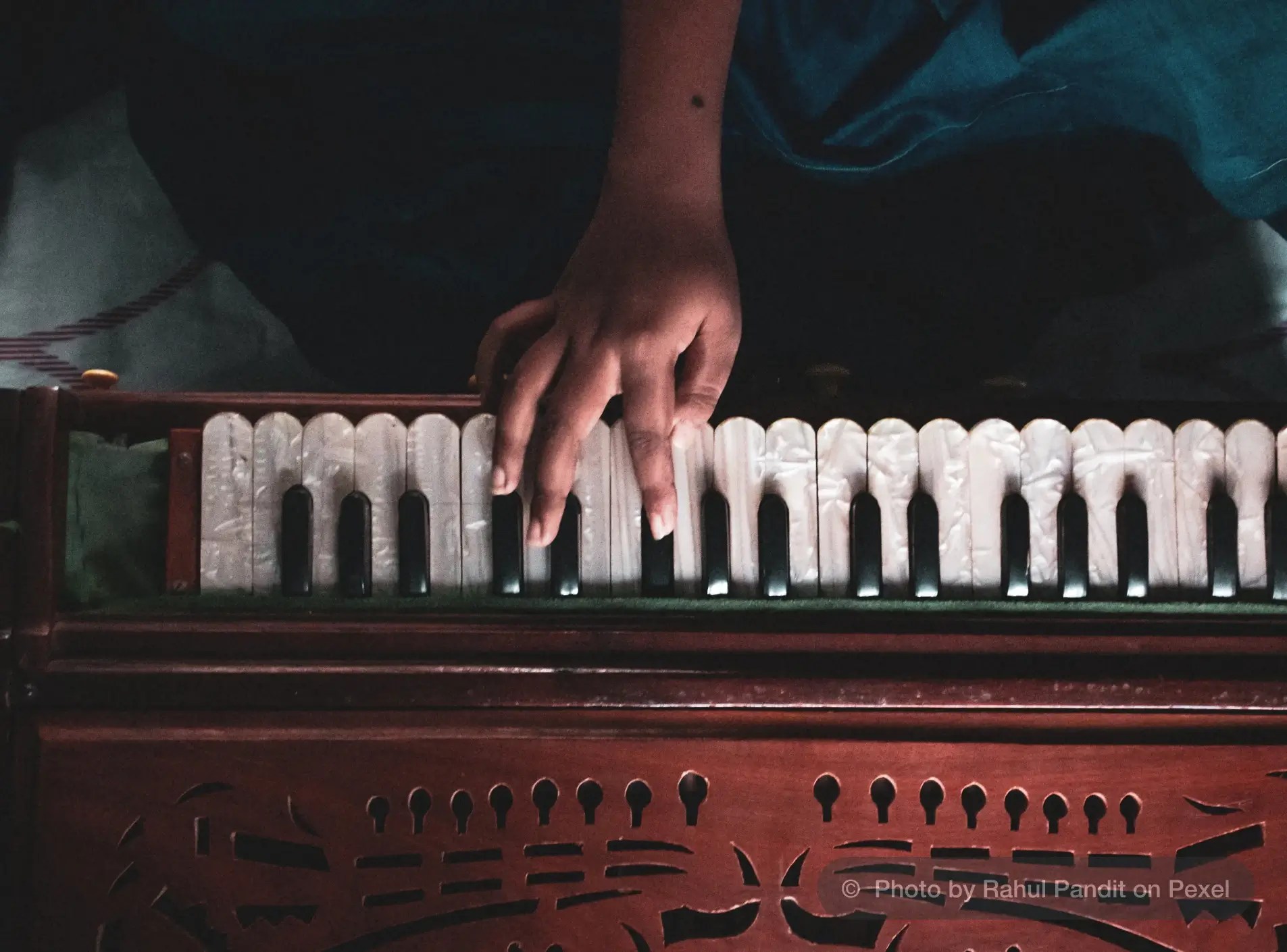 9 Easiest Musical Instruments To Learn ipassio