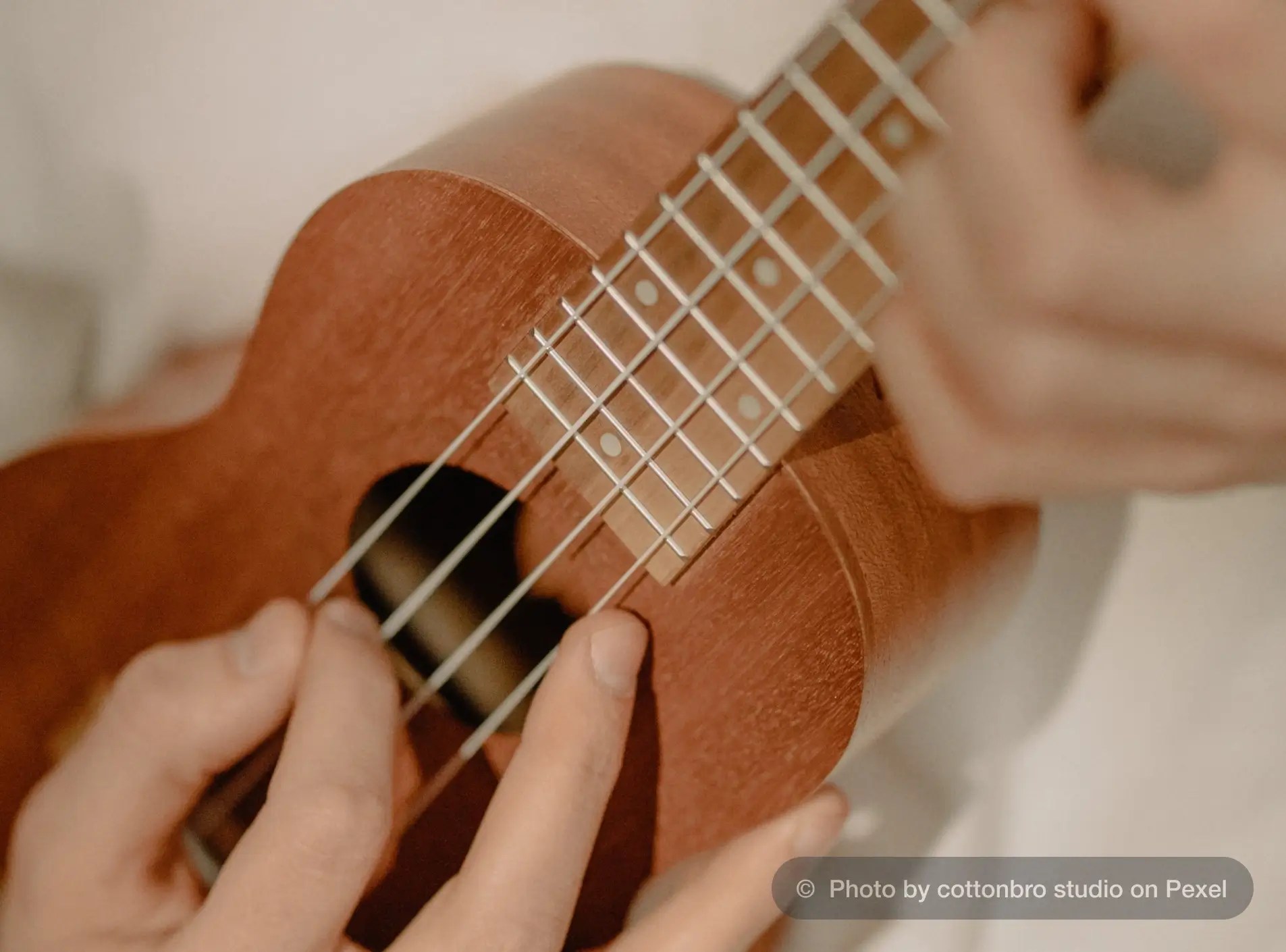 9 Easiest Musical Instruments To Learn ipassio