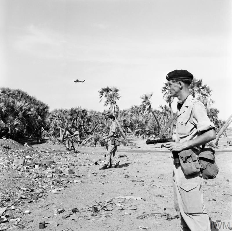 THE BRITISH ARMY IN ADEN AND THE SOUTH ARABIAN FEDERATION (ADN 6519613)