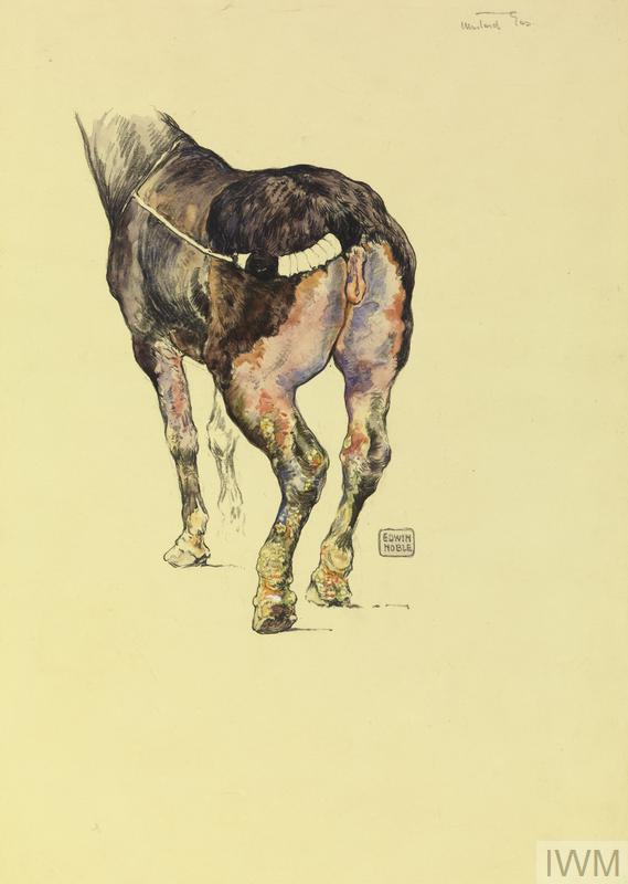 Mustard Gas Sketch to Illustrate the Effect of Mustard Gas on Horses