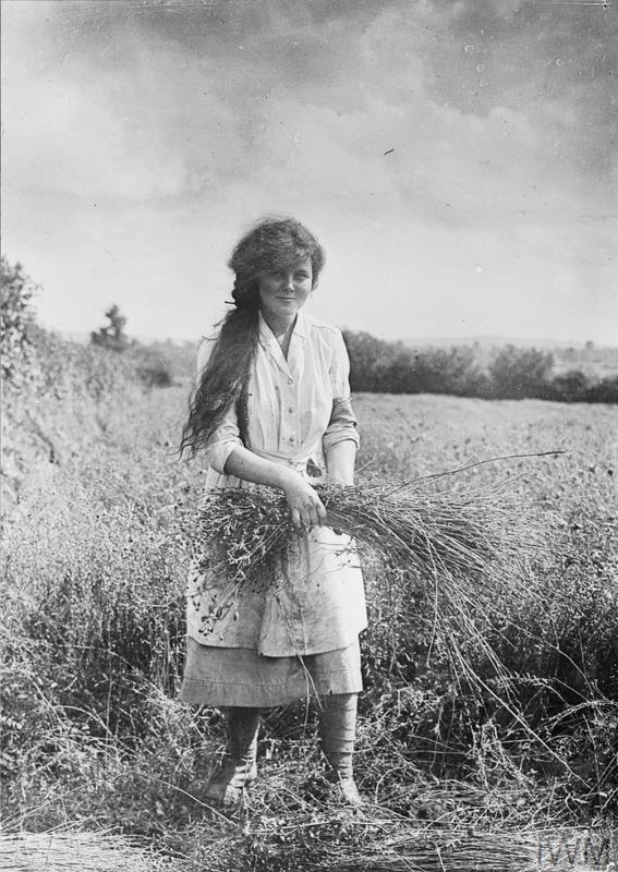 THE WOMEN'S LAND ARMY IN BRITAIN, 19151918 Imperial War Museums