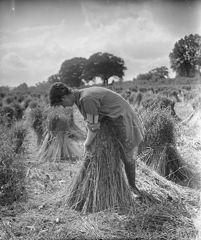THE WOMEN'S LAND ARMY IN BRITAIN, 19151918 Imperial War Museums