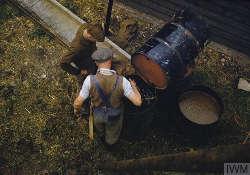 FARMING IN BRITAIN DURING THE SECOND WORLD WAR (TR 959)