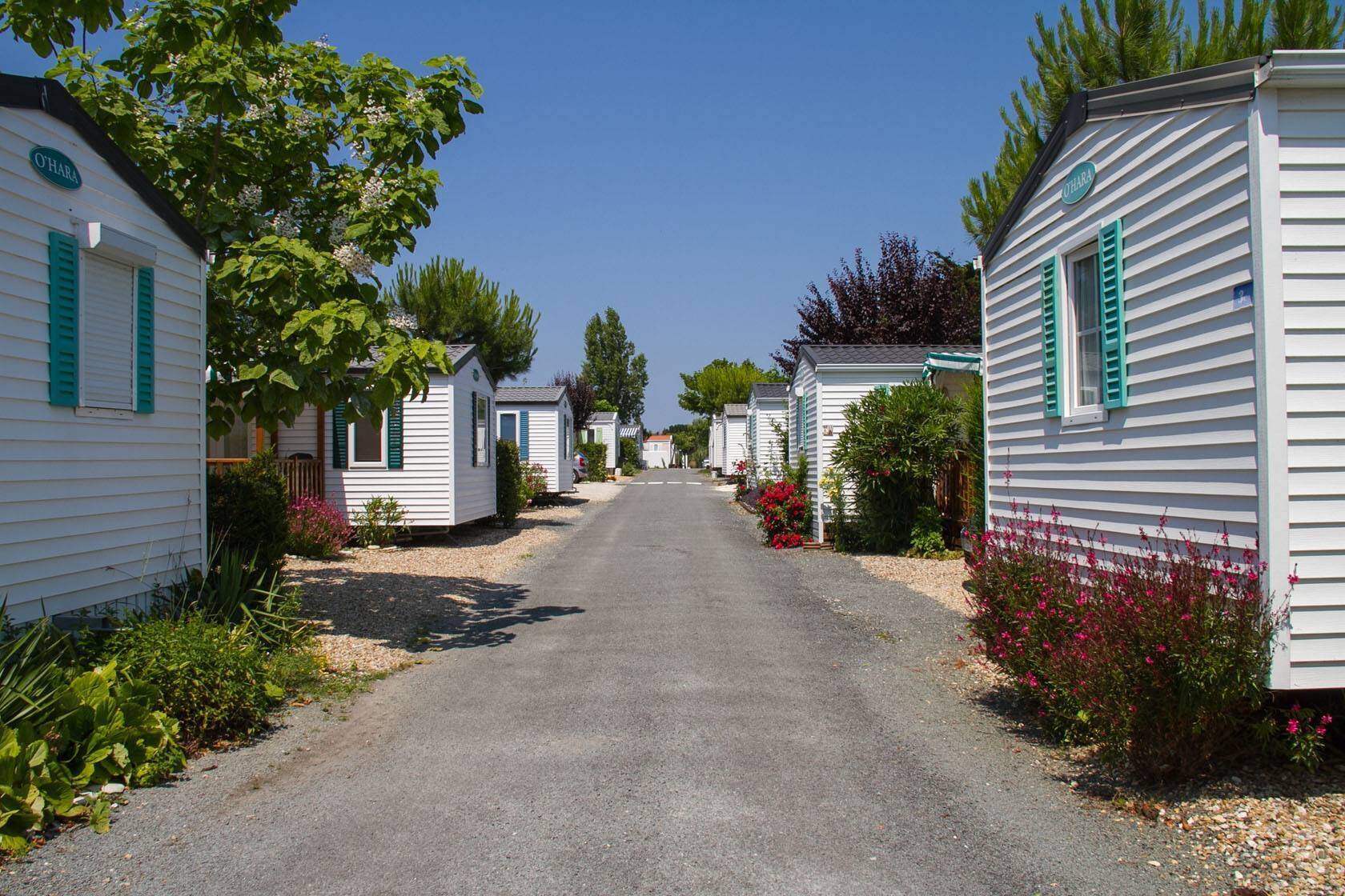 Camping Cap Soleil, SaintDenisd’Oléron, France (2024) Tous les