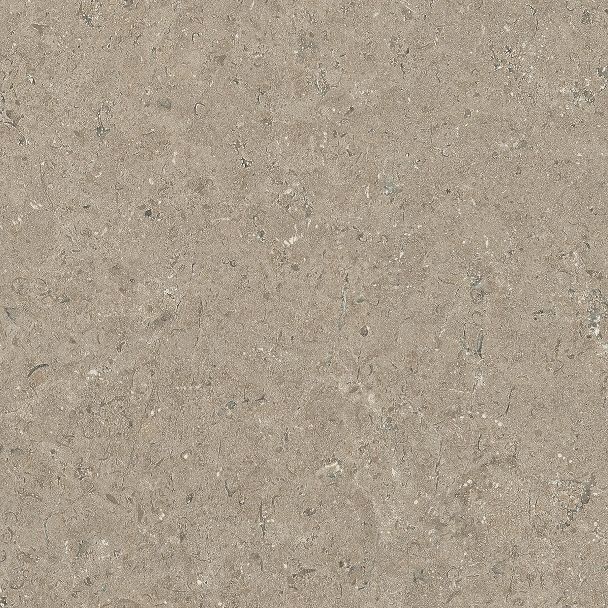 Multipanel Contemporary Bathroom Wall Panel Unlipped Tavolo Taupe