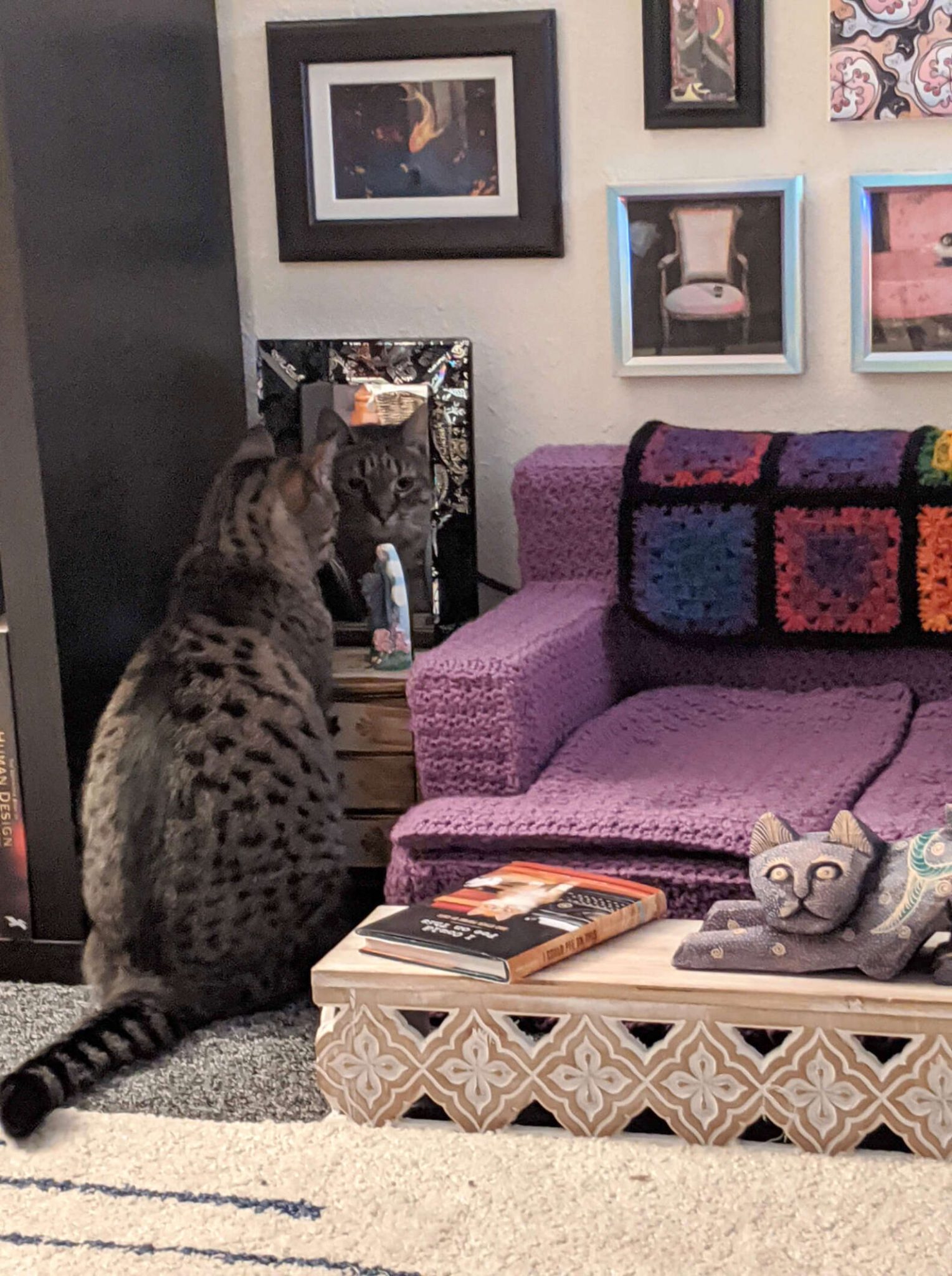 PHOTOS These Spoiled Cats Have Their Own Living Room Complete With ‘Furniture’ & It’s Adorable!