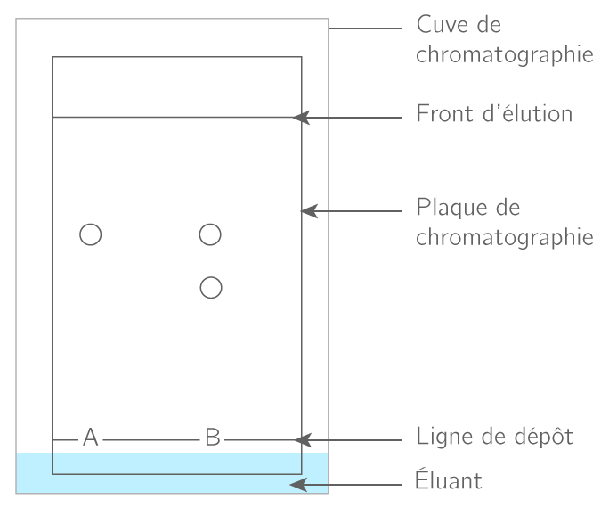 Analyser le résultat d'une chromatographie 2nde