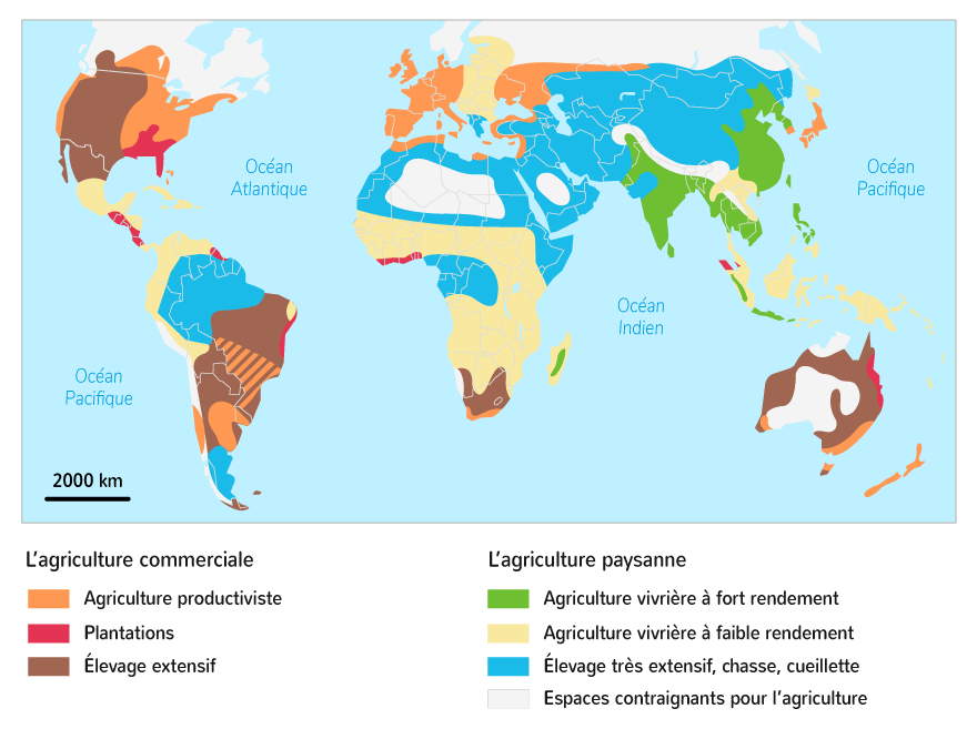 Les Défis De La Carte De L'agriculture Dans Le Monde La fragmentation des espaces ruraux 1ère Cours Géographie Kartable