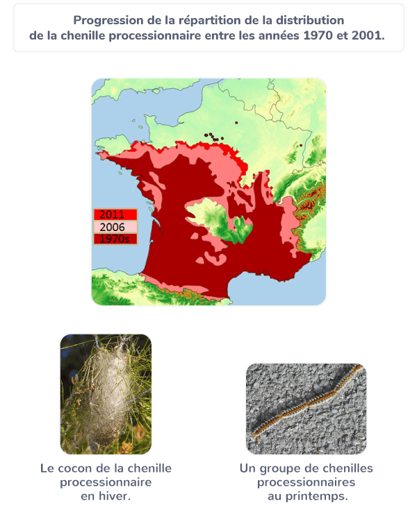 L'évolution de la biodiversité au cours du temps 2nde Cours SVT
