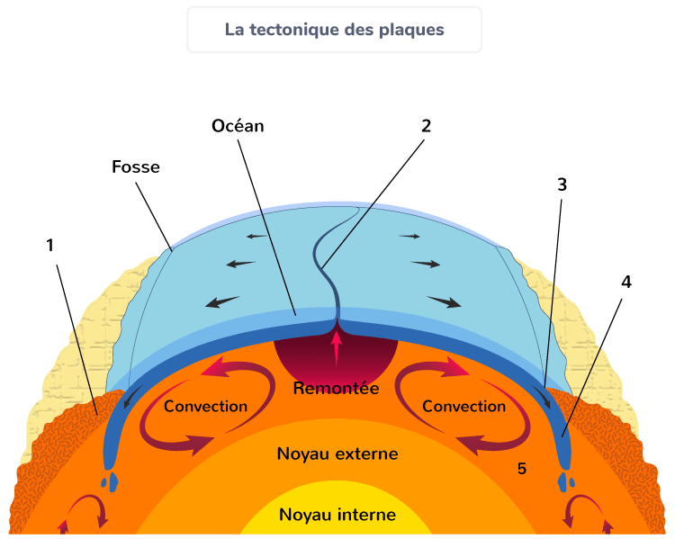 Schématiser le principe de tectonique des plaques 1ère Exercice de