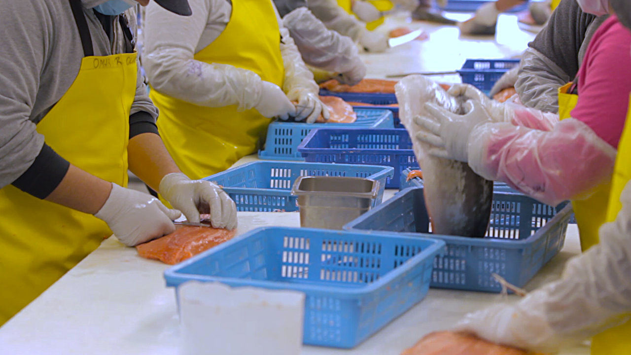 Video Take a look inside one of Juneau's seafood plants